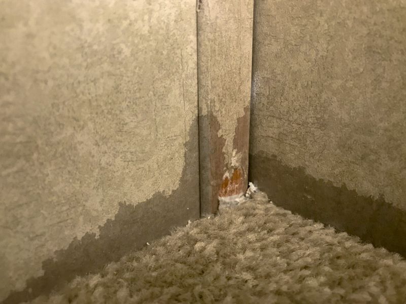 Carpet Dye Repair