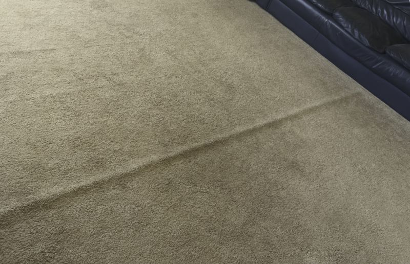 Carpet Dye Repair