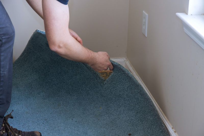 Basement Carpet Stretching in Kansas City, KS