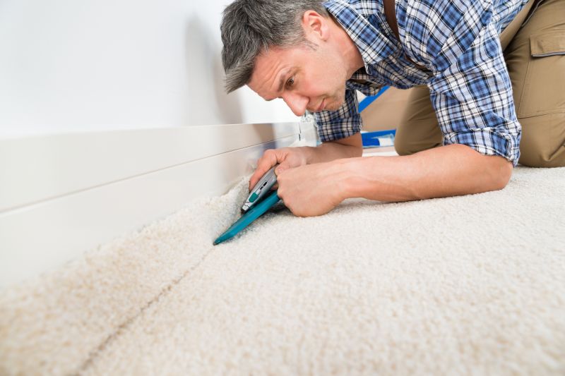 Carpet Burn Repair in Denver County, CO