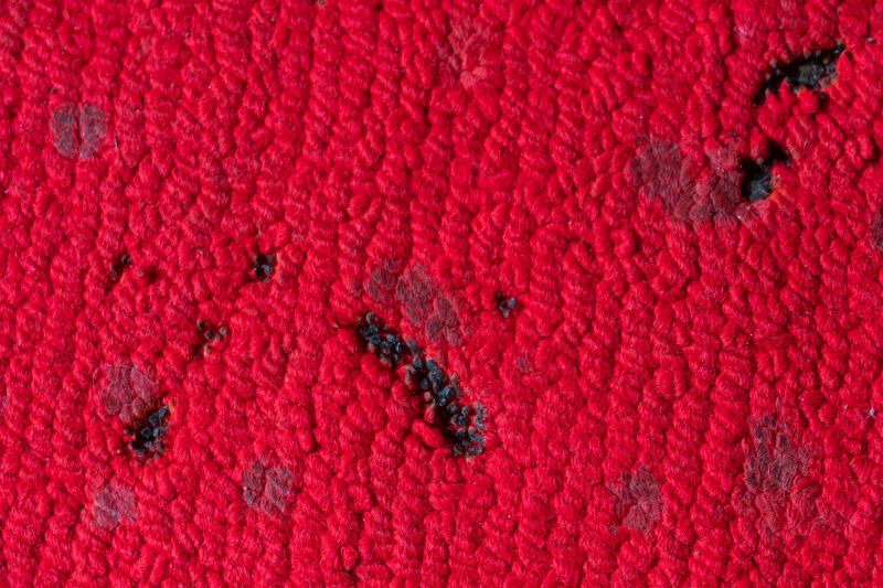 Understanding Carpet Dye Repair Costs — Cost of Carpet Dye Repair
