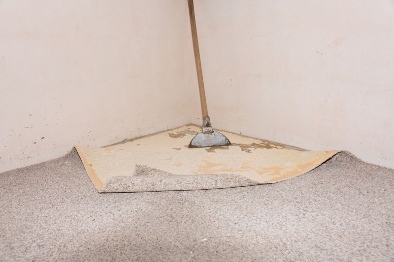 Carpet Foam Replacement in Kansas City, KS