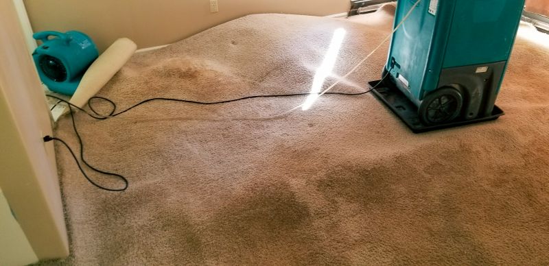 Carpet Dye Repair