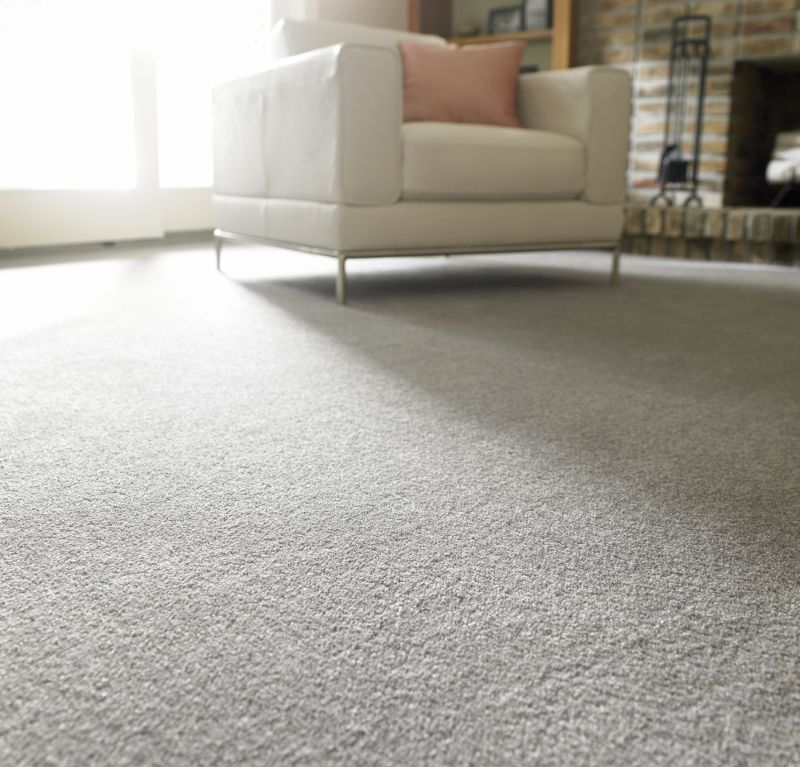 Soft Carpet Installation in Freehold, NJ