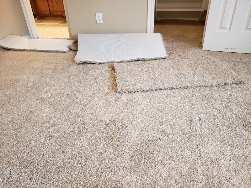 Stair Carpet Repair in Overland Park, KS