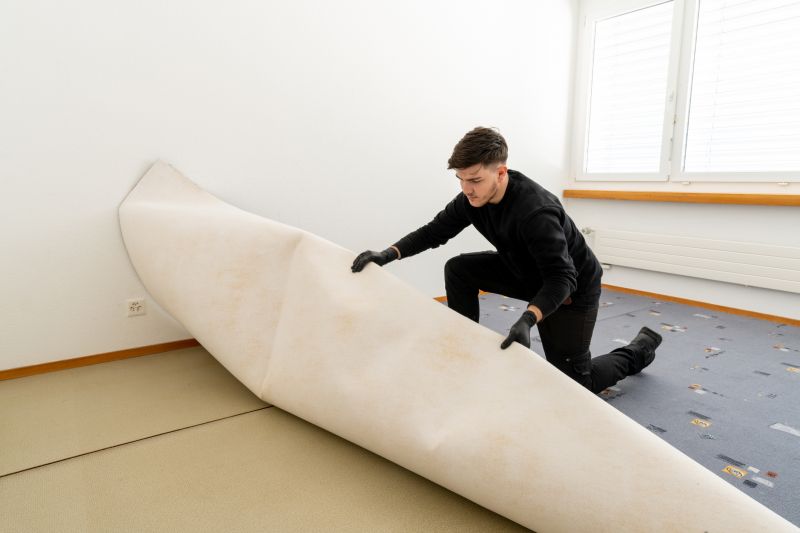 Basement Carpet Stretching in Denver County, CO